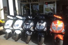 PGO TREX 80CC For Rent in Ayia Napa